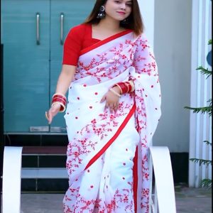 Premium Half Silk Embroidered Saree